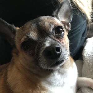 Meet your Posher, Aaliyah